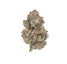 Locker Huddle Melt 7G (Online Deal)