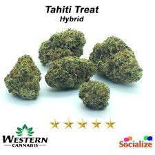 TAHITI TREAT HYBRID 1GM