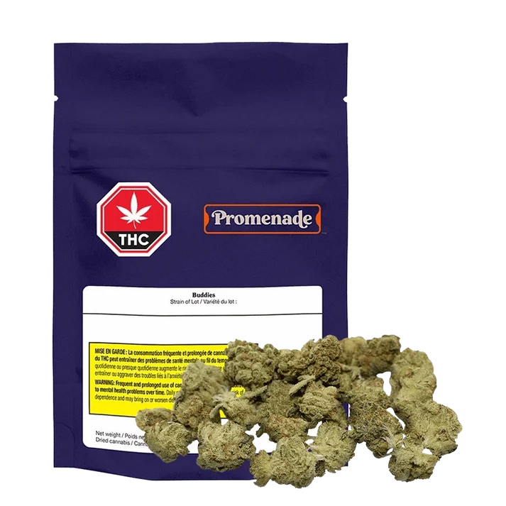 Promenade Buddies 7G (Online Deal)