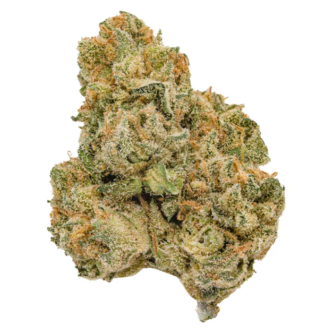 THE REPUBLIC RESERVE 25 PLUS 14GM ONLINE SPECIAL